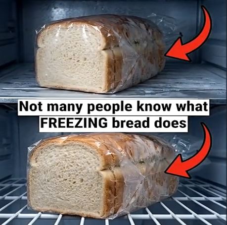The Best Way to Freeze Bread and Keep It Fresh