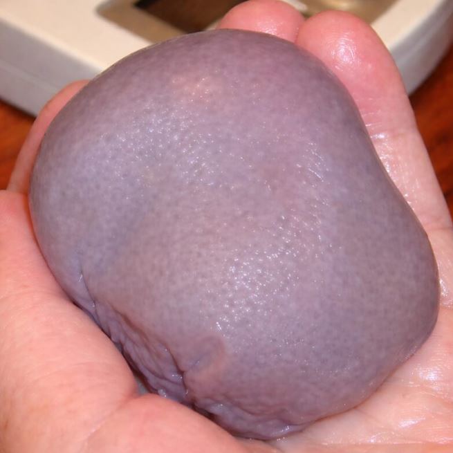 I picked up what was lying near my foot, thinking it was a stone, but when it moved in my hand, I froze in terror.